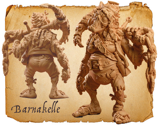 Barnakelle